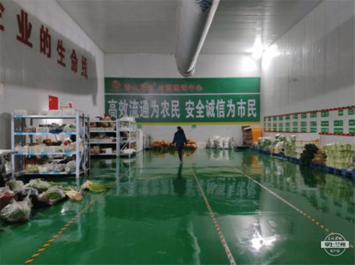 強化物流基礎設施，武威助力農特產品銷售出實招——農業企業托管服務創新模式