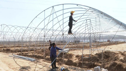 朔城區 夯實農業基礎設施根基，譜寫現代農業發展新篇章