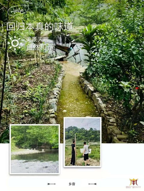 投資新機遇 廣南鄉村農業企業托管服務項目全解析